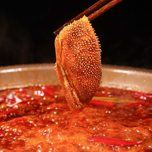 成都与四川火锅底料厂家 餐饮美食的味觉引擎